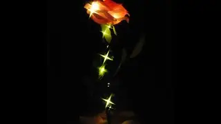 Beauty and the Beast Enchanted Rose DIY