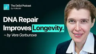Вера Горбунова о долголетии, биологии старения и децентрализованной науке (DeSci).