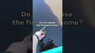 Fishmak.com - The best fishing tackle store