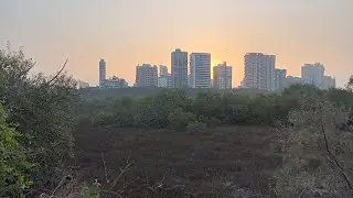 My  Life  first  vlog Talaya JT TS chainikya #shorts #vlog navi mumbai 400706 #samunder#vlog #commen