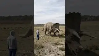 Triceratops vs Human &mdash; Built to Stand Its Ground