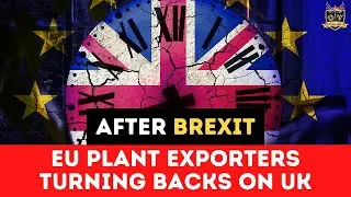 EU plant exporters turning backs on UK over post-Brexit border checks | Outside Views UK