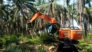 5 excavator Replanting tumbang chipping kelapa sawit 324,2031 ha