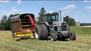 Chopping alfalfa! Last of the 790 chopper?