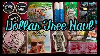 DOLLAR TREE HAUL | NEW AMAZING FINDS | DECEMBER 18 2018