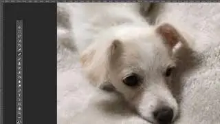 Healing Brush Tool