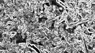 FRANK ZAPPA -- IMAGINARY DISEASES IN A LOCK-DOWN