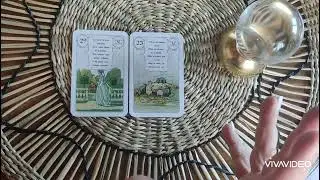 🌈 PETIT LENORMAND ASSOCIATIONS🌈 29. LA DAME#petitlenormand #formation #cartomancie#oraclecard