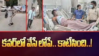 కవర్&zwnj;లో వేసే లోపే.. కాటేసింది..! | Snake Catcher - TV9