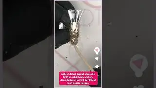 The GelBottle&trade; -  Nailart mit Folie -  #shorts