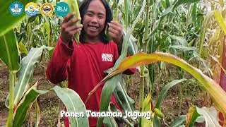 Kelompok 10 Praktikum Kesehatan dan Kesuburan Tanah