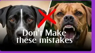 STOP Making these 3 Critical Dog Breeding Mistakes