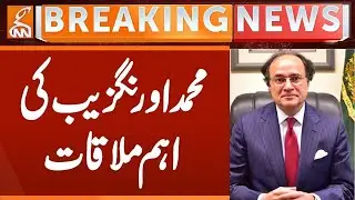 Finance Minister Muhammad Aurangzeb Important Meeting | Breaking News | GNN