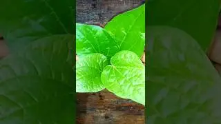 chombu decor ideas #urulidecoration #ytshorts #flowerdecoration #tabledecoration #pujadecor #shoerts