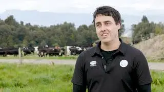 Экологичный подорожник Ecotain поможет увеличить производительность и прибыль фермерских хозяйств