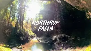 COLDITZ COVE STATE NATURAL AREA - NORTHRUP FALLS