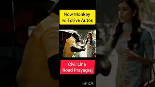 Auto Drivers drives auto #shorts #shortsfeed