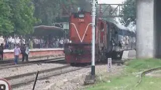 The 'Milk train'