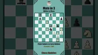 #matein3 Nr. 46 || Peter Enders vs Jerzy Kubien, Dresden 1984