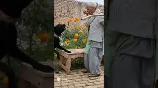 brave grandma #aivideo #fypシ #foryou #funnyvideo #shortsfeed #animalattack #shorts #fypage