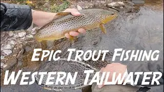 Fall Fly Fishing on the Missouri River