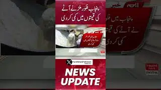 Punjab Flour Mills has Reduced the Prices of Flour