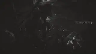 Think I Can Get The Highest Honor? RDR2