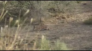 hunting in Pakistan