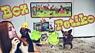 Unboxing Box.Petiko de Novembro Contos de Fadas #eraumavezpetiko