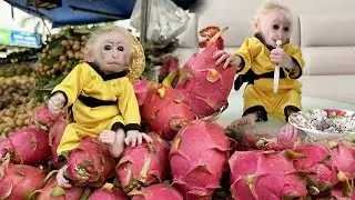 New Secret Lucky and the Temptation of Dragon Fruit