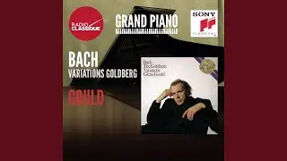 Goldberg Variations, BWV 988: Variatio 30. Quodlibet. a 1 Clav.