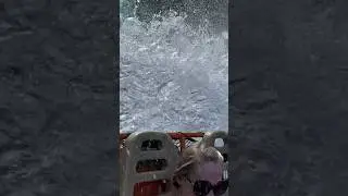 😱 The BIG drop on Kali River Rapids at Animal Kingdom