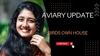 Aviary updates 2022... Wood Ducks. | African Grey parrot | Koi Fishes | Pond|
