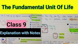 the fundamental unit of life class 9 | the fundamental unit of life | Fundamental unit of life notes
