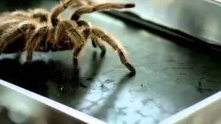 Deadtime Stories Season One Promo