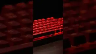 Pressing keyboard buttons with different colors ASMR