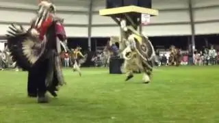 Enoch powwow 2016