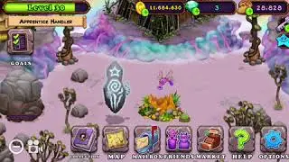 MSM new island