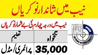 NAB Jobs 2020 | National Accountability Bureau Jobs 2020 | New Govt Jobs 2020 | Learning Zone