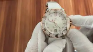 Sea-Gull Ocean Star Pro Fritillary Dial Diving Automatic Watch 219.17.1211