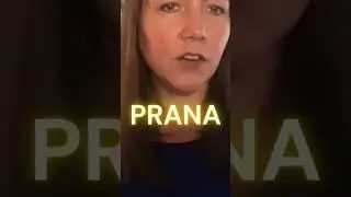 Endocrine System, Hormones and Storing Prana Life Force Energy for #Health and #Healing #breathwork