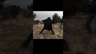 Airsoft Blade To Blade