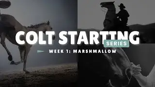 Colt Starting Series: Marshmallow Wk 1
