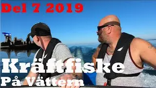 POLISEN KOM OCH VI STACK IFRÅN DOM - Kräftfiske 2019 del 7