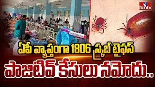 ఏపీ వ్యాప్తంగా 1806 స్క్రబ్ టైఫస్ పాజిటివ్ కేసులు నమోదు.. | Scrub Typhus Case Positive In AP | hmtv