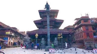 Temple Build By Single Tree