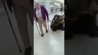 BEAR SERVICE ANIMAL 😳😳 #funny #brainrot #ai # #animals #fyp #viral #ai #cop #shorts #viralshorts