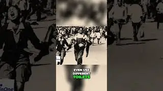The End of Apartheid: South Africa's Journey to Democracy