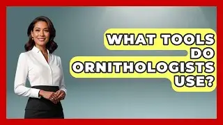 What Tools Do Ornithologists Use? - Bird Watching Diaries