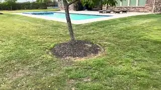 Spring Tips for Bermuda Grass